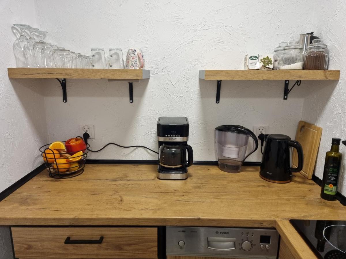 Apartament Nova Kamienica - Studio Lagow  Luaran gambar